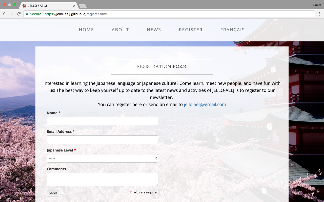 Website Form